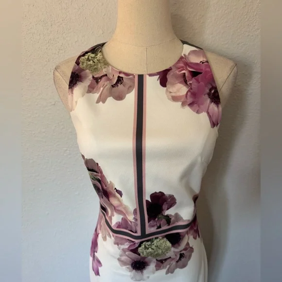 NWT Ted Baker Nanina Neapolitan Print Floral Sheath Dress size 4 - Picture 5 of 17